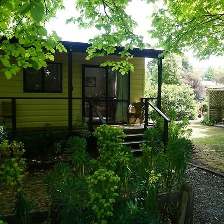 Ivy's Cottage Greytown Exteriör bild